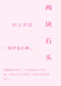两块石头组合的画